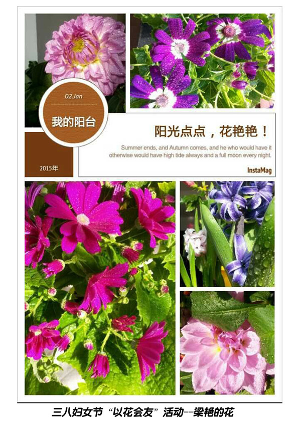 点击浏览下一页